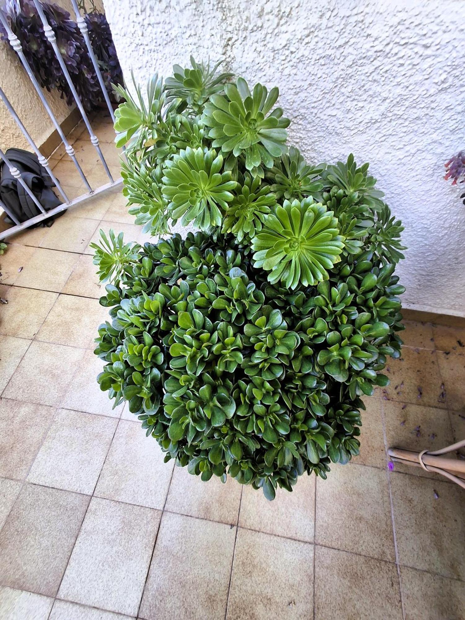 Apartemento Monika Monte Pedrera C 4 Top Aussicht Denia Zewnętrze zdjęcie
